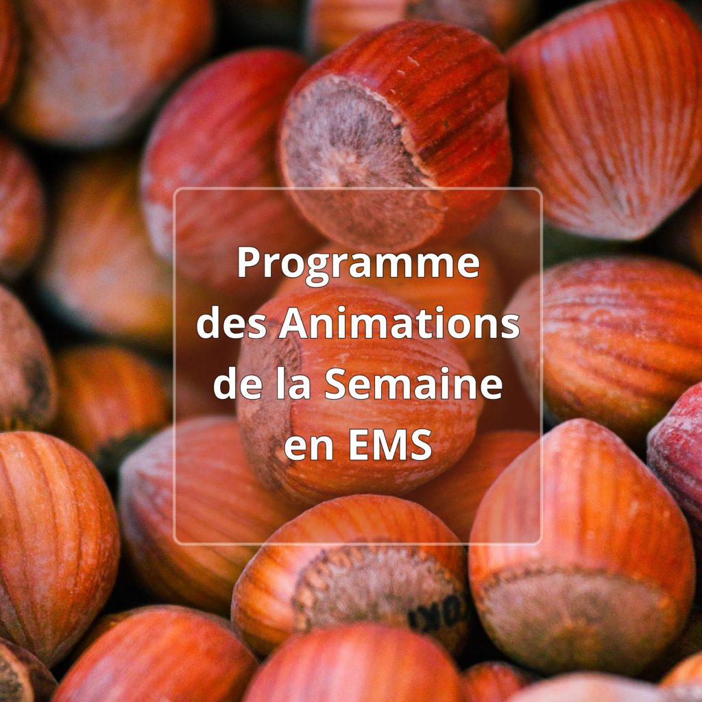 Programme des animations EMS