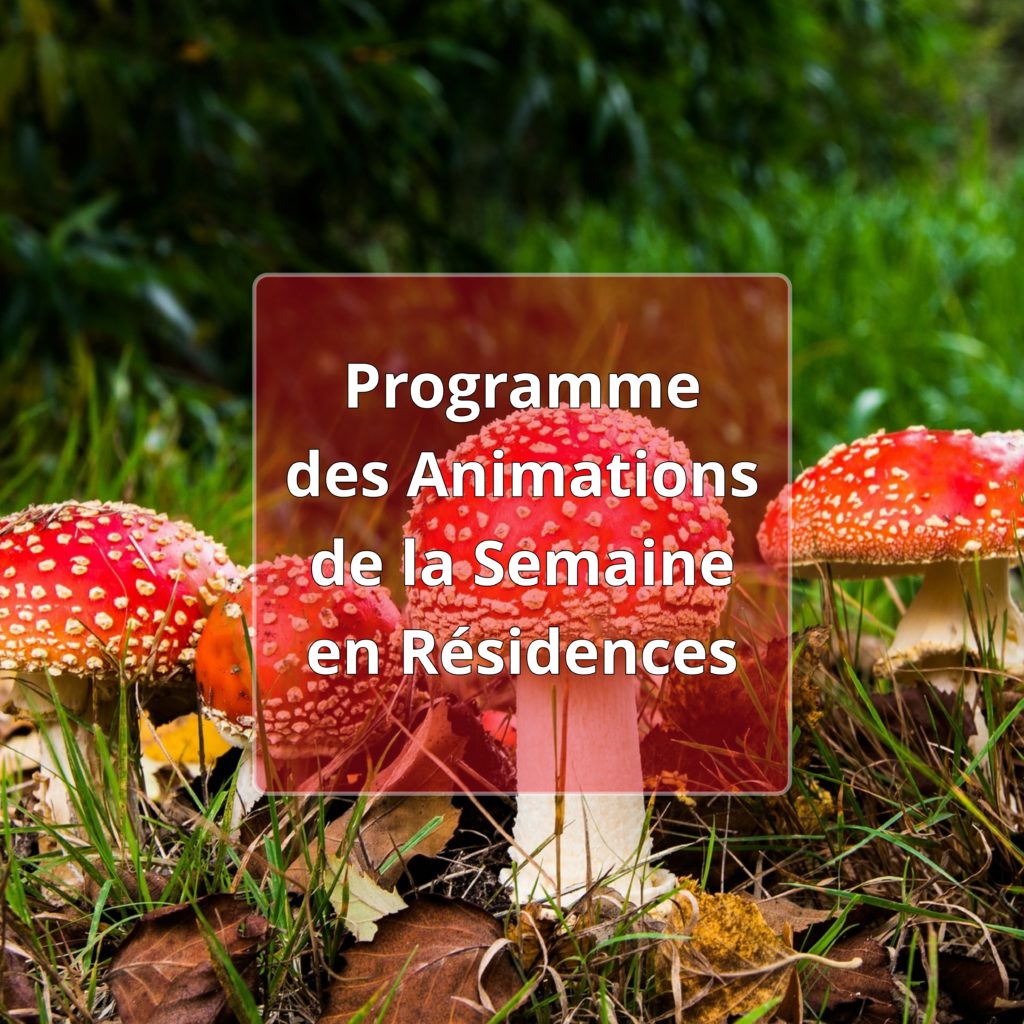 Programme des animations des résidences