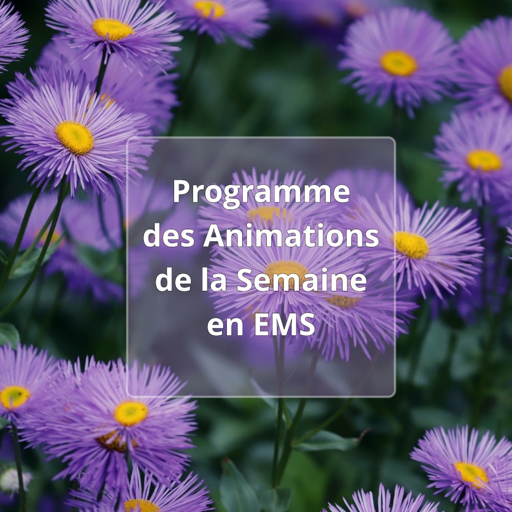 Programme des animations de la semaine en EMS