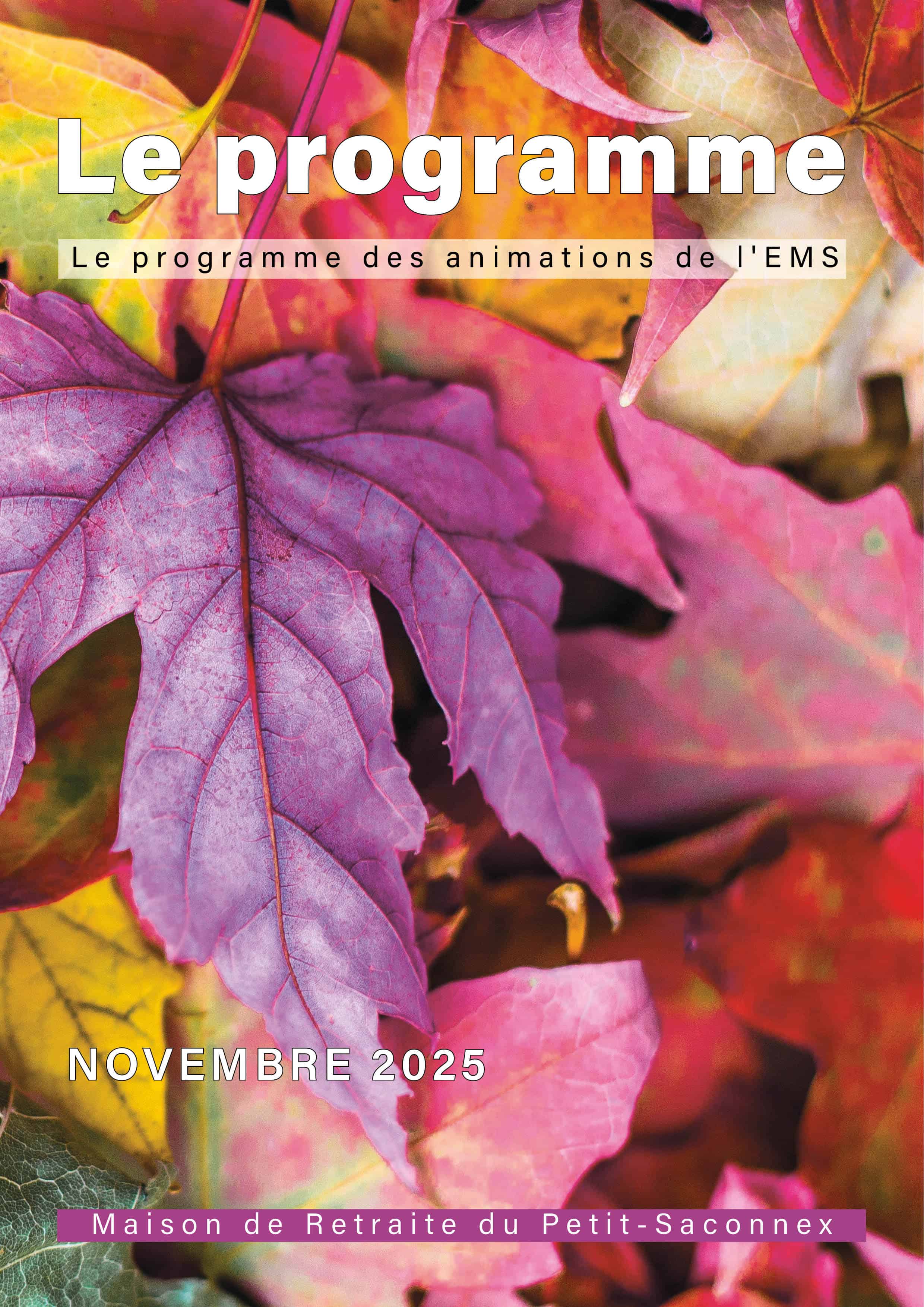 Le programme des animations en EMS