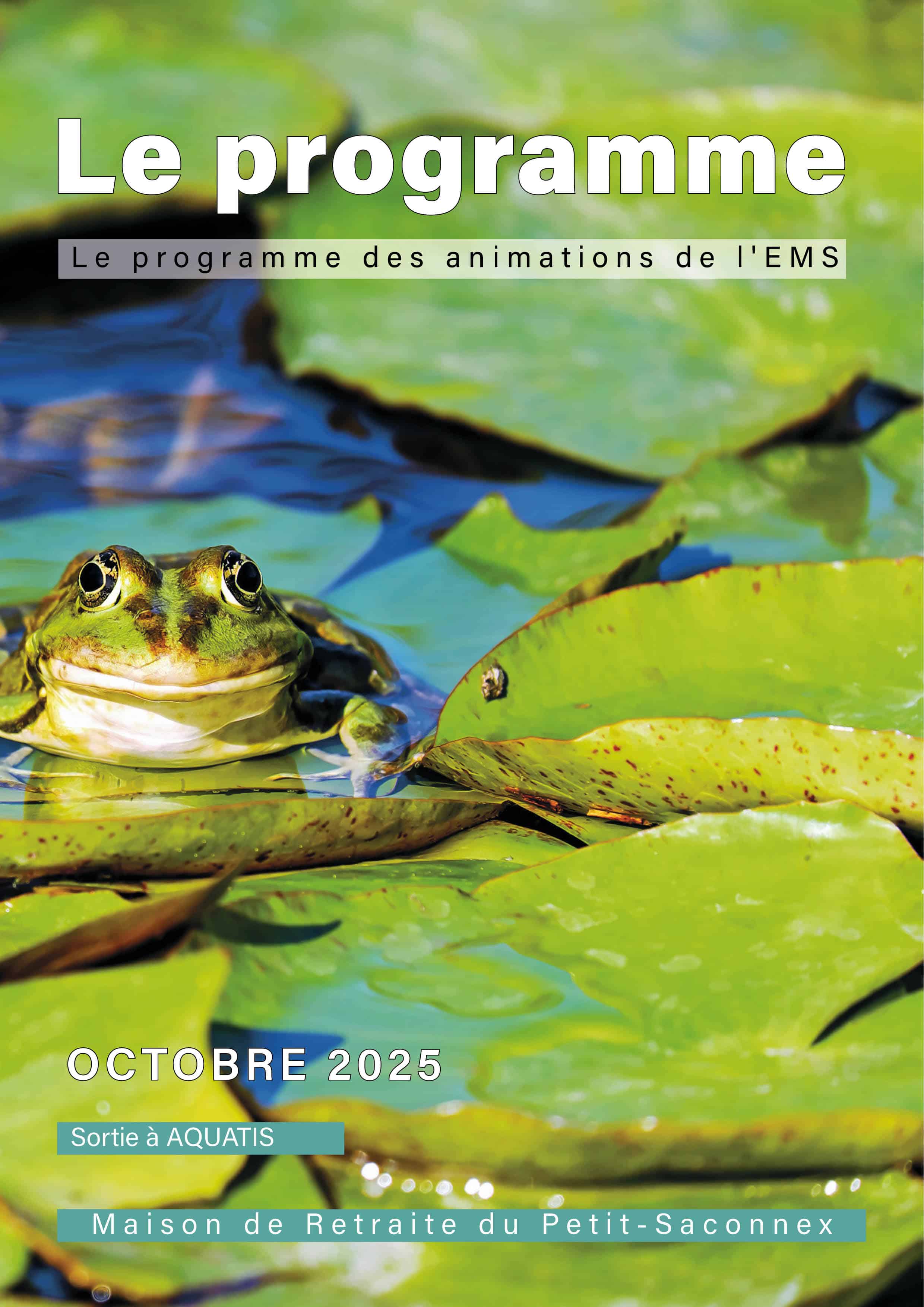 Le programme des animations en EMS pour le mois d'octobre