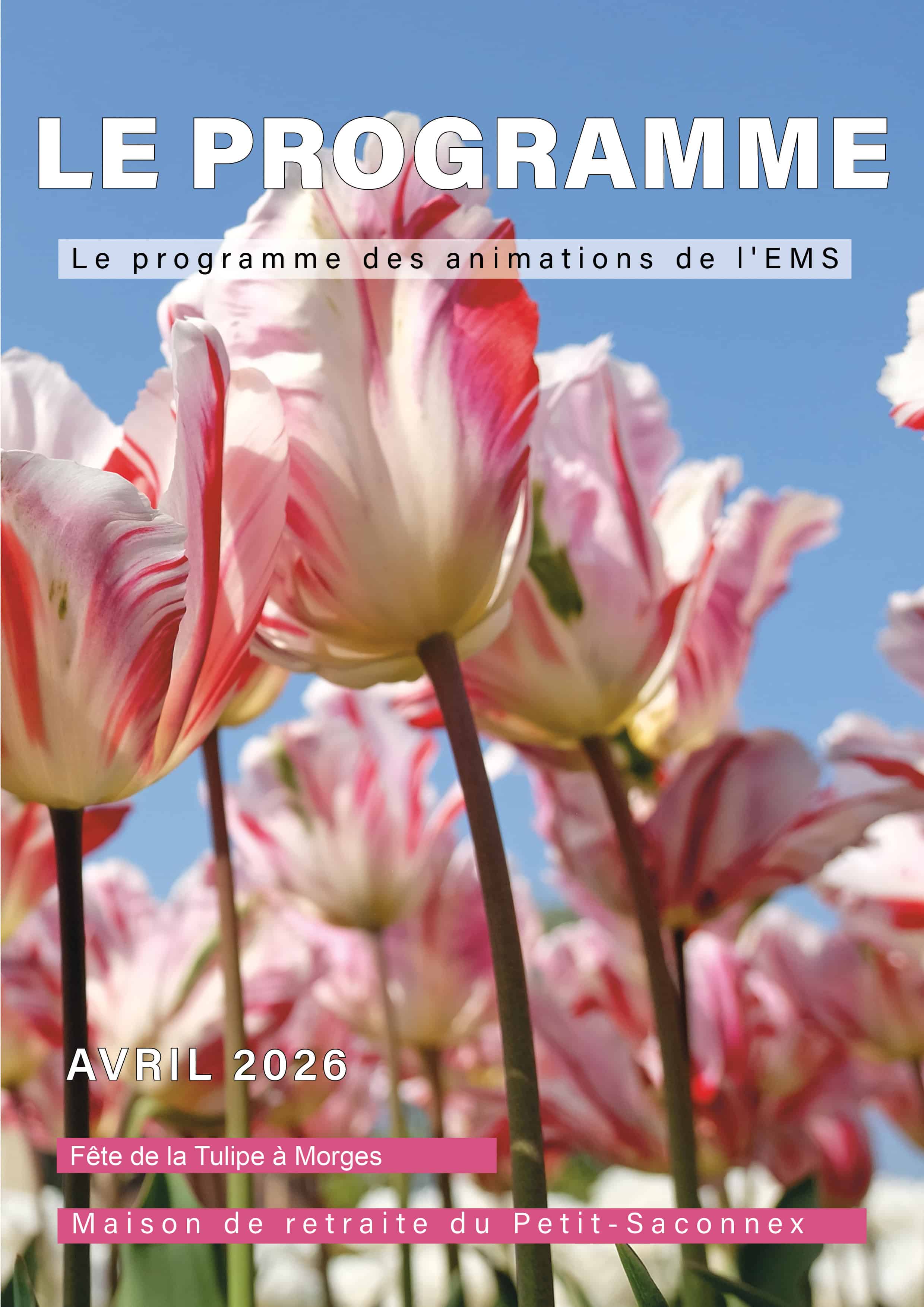 Le programme des animations en EMS